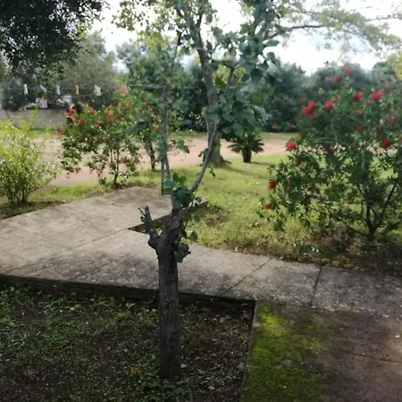 Casa Indipendente